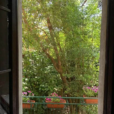 Super Attico Della Brigata Spendereccia! *