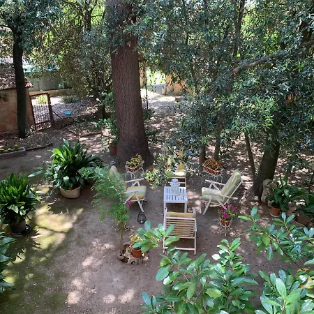 דירה Super Attico Della Brigata Spendereccia! מונטרוני ד'ארביה