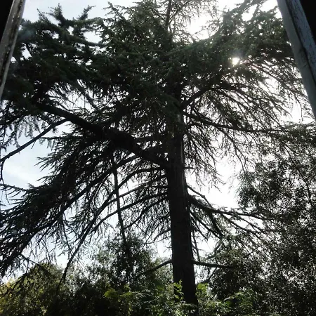 Super Attico Della Brigata Spendereccia! דירה *