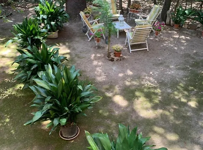 Appartement Super Attico Della Brigata Spendereccia! *