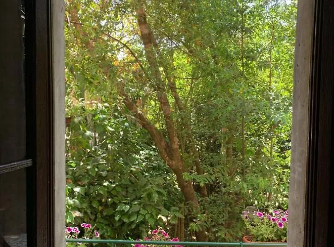 Super Attico Della Brigata Spendereccia! *