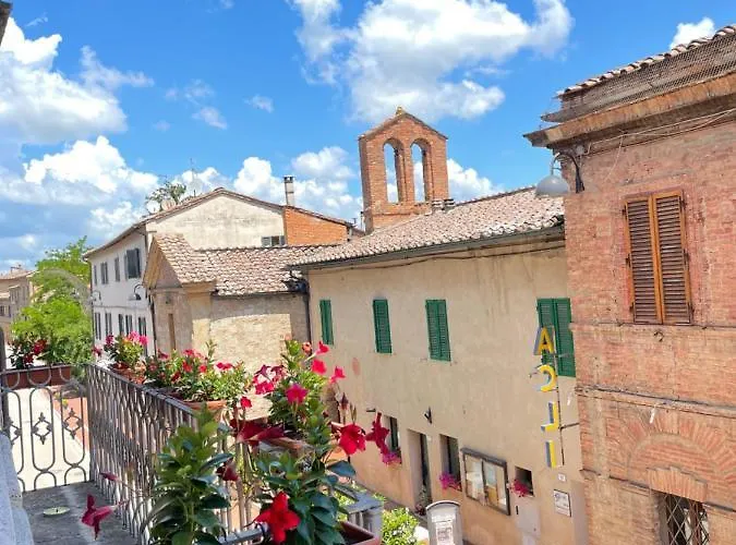 Super Attico Della Brigata Spendereccia! *