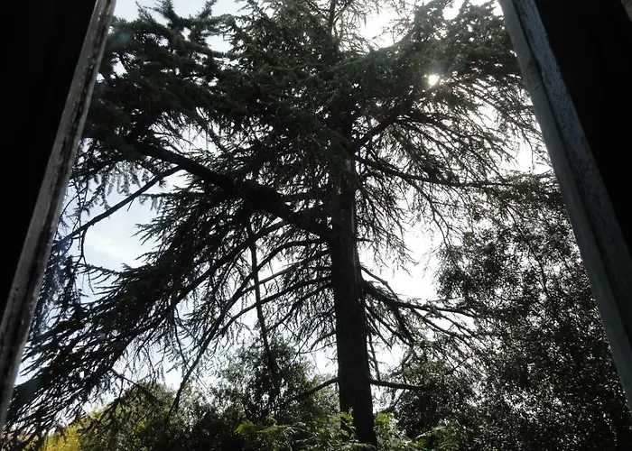 Super Attico Della Brigata Spendereccia! Appartement *